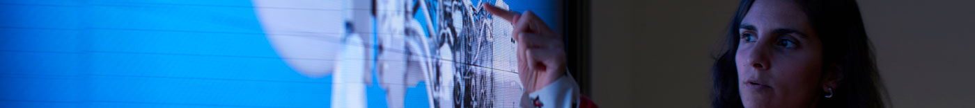 Bild zu Domain Architect Digital Products & Enabler (m/w/d)